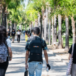 Las universidades valencianas publican la lista de admitidos: cómo consultar las notas de corte