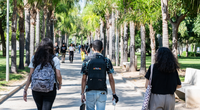 El éxodo universitario llega a la Comunitat: miles de estudiantes se mudan para estudiar Las universidades valencianas publican la lista de admitidos: cómo consultar las notas de corte