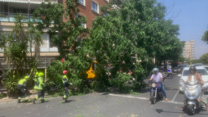 Un camión arranca un árbol de Plaza América y obliga a cortar varios carriles