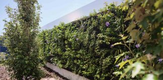 Los cuatro jardines verticales que abren en Valencia para rebajar las temperaturas