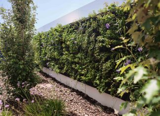 Los cuatro jardines verticales que abren en Valencia para rebajar las temperaturas