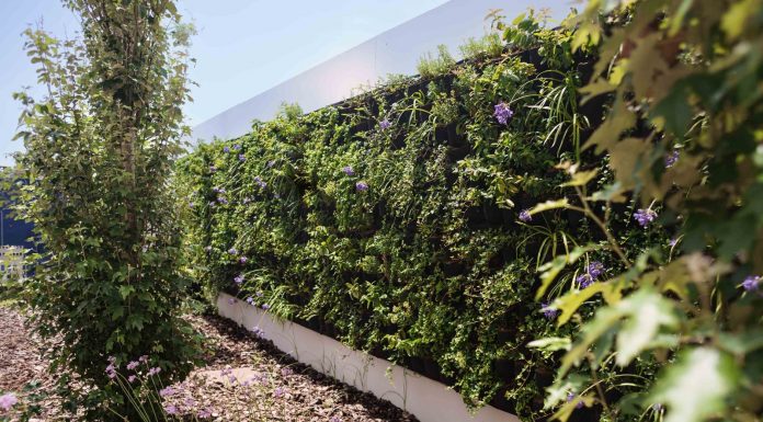 Valencia instala cuatro jardines verticales para rebajar la temperatura Los cuatro jardines verticales que abren en Valencia para rebajar las temperaturas