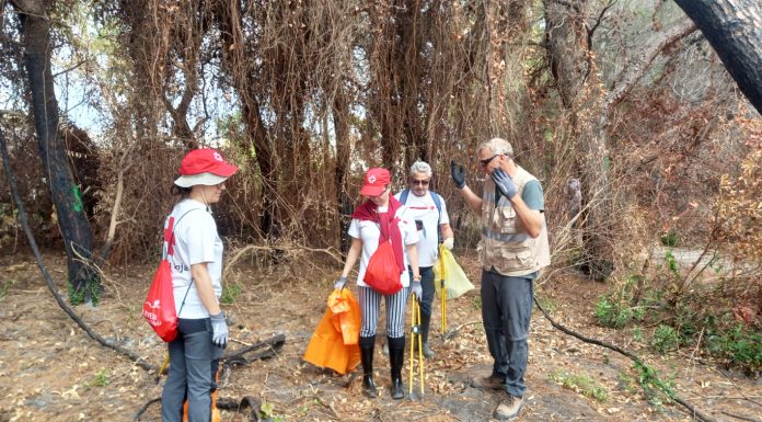 Recogen 140 kilos de vidrio, metales, envases en un solo día en l’Albufera