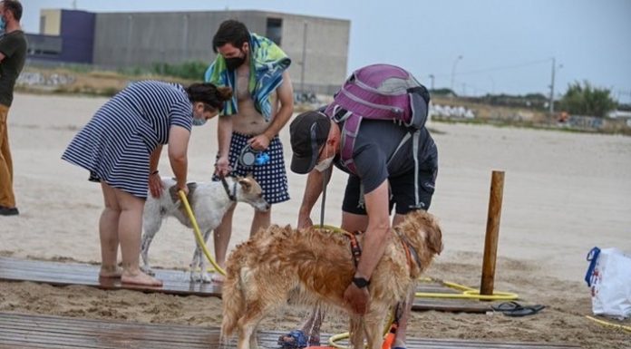 La playa canina de Pinedo reabre al baño para mascotas