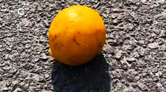 La nueva forma de robar coches con una naranja