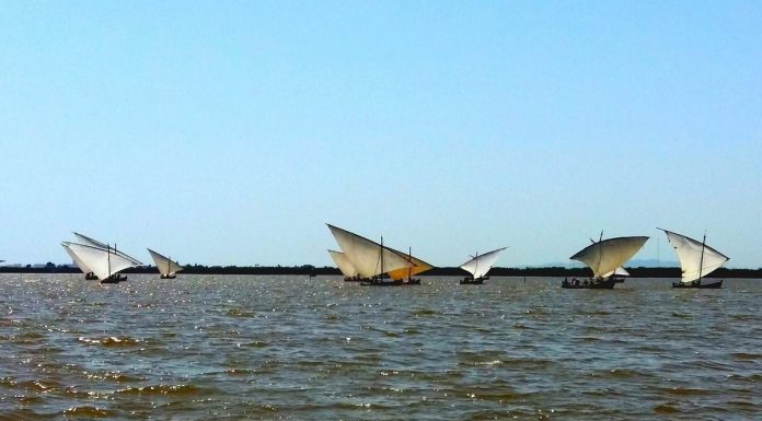 La Vela Latina en la Albufera: fechas, lugar y cómo participar