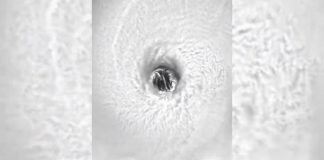 huracán beryl