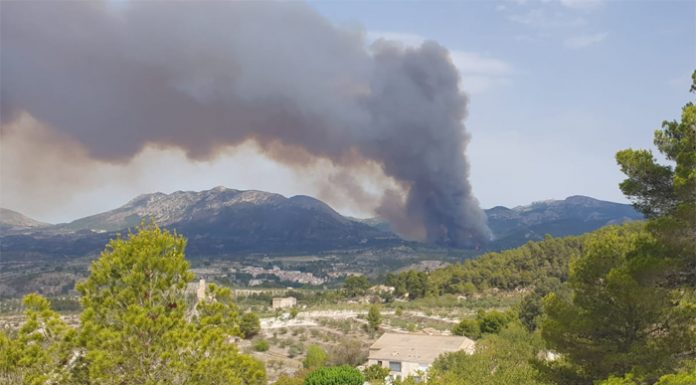 Dos incendios afectan a Benasau y Biar en la provincia de Alicante