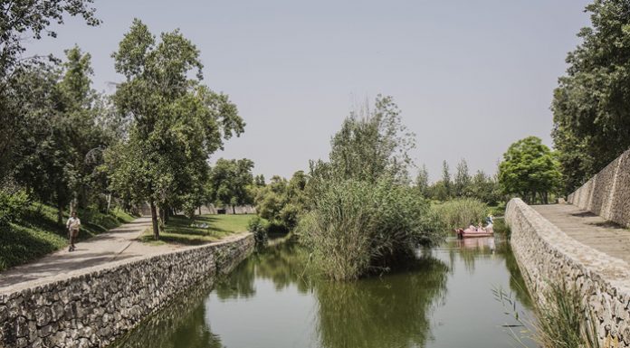 Valencia alcanza los 8,6 metros cuadrados de zonas verdes urbanas por habitante