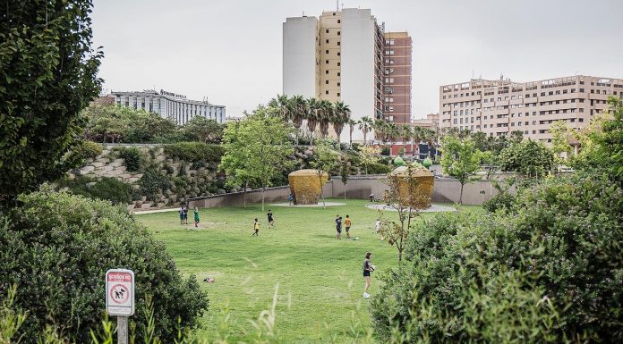 Valencia planta 2.000 árboles para impulsar la renaturalización urbana