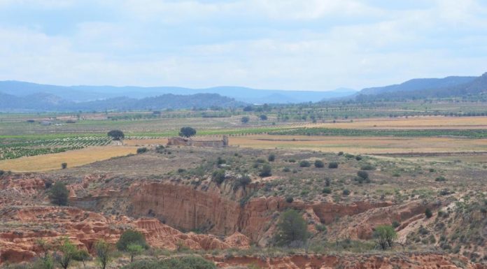 Descubren la presencia de neandertales en Requena con 100.000 años de antigüedad