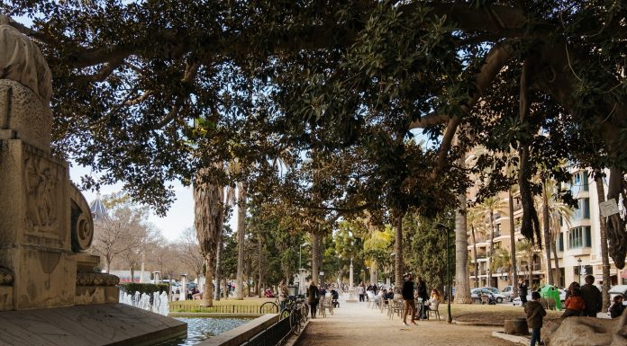 El Paseo de la Alameda renovará el suelo las próximas semanas