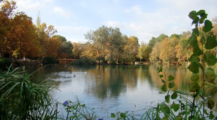 Anna vuelve a poner en marcha el servicio de barcas en su Albufera