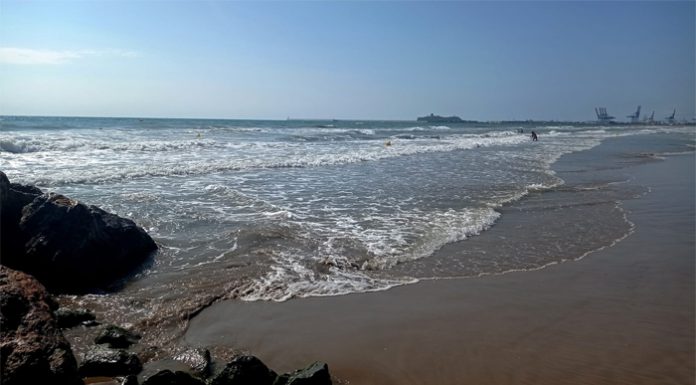 En estas playas valencianas habrá medusas este domingo