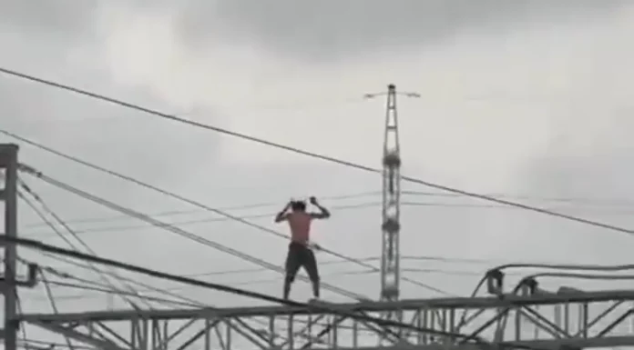 Vídeo: Un joven se sube a un poste de alta tensión entre Valencia y Alfafar