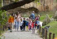 Visita de grupos escolares en Bioparc.