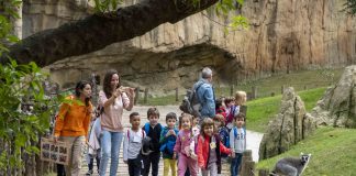 Visita de grupos escolares en Bioparc.