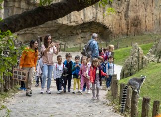 Visita de grupos escolares en Bioparc.