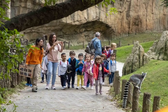 Visita de grupos escolares en Bioparc.