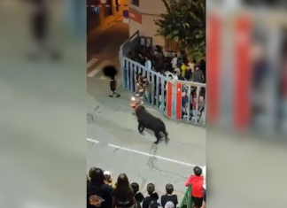 Brutal embestida de un toro a un joven en Vila-real