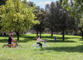 Una inversión millonaria transformará Valencia en una ciudad más verde: así cambiará la capital