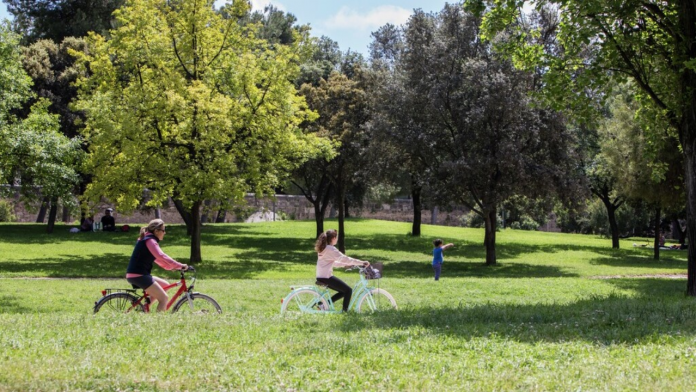 Una inversión millonaria transformará Valencia en una ciudad más verde: así cambiará la capital