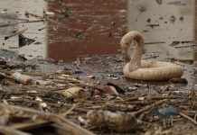 “La DANA dejó agua, pero también heridas”: los municipios valencianos que aún luchan por levantarse Interioristas en Acción presenta un balance de su intervención tras la DANA