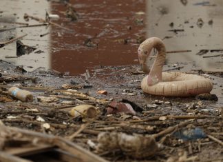 Interioristas en Acción presenta un balance de su intervención tras la DANA
