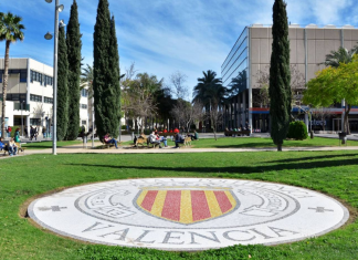 La UV y la UPV impartirán clases online durante un mes por la DANA