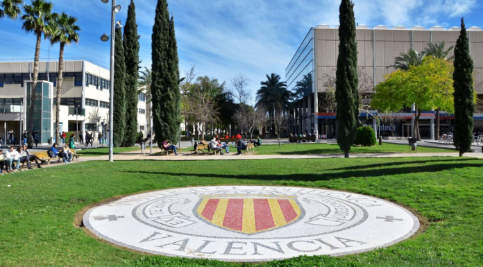 La UV y la UPV impartirán clases online durante un mes por la DANA