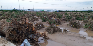 Agroseguro abona otros 10,2 millones de euros por los daños de la DANA