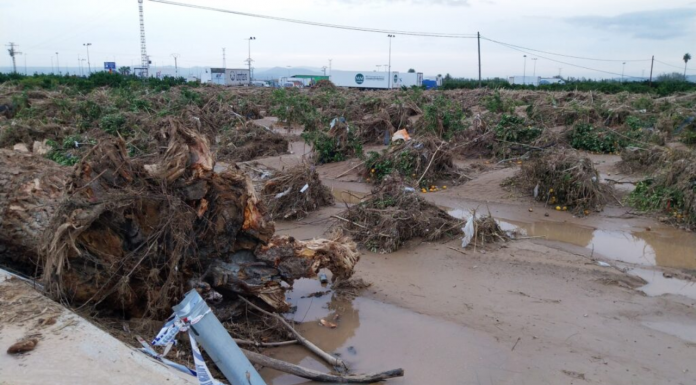Agroseguro abona otros 10,2 millones de euros por los daños de la DANA Agroseguro abona otros 10,2 millones de euros por los daños de la DANA