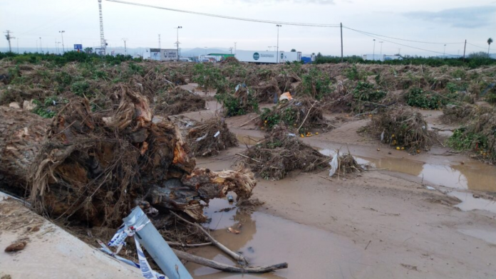 Agroseguro abona otros 10,2 millones de euros por los daños de la DANA