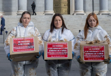 El barro de la DANA salpica al Congreso: las familias de las víctimas exigen justicia por el abandono de las autoridades