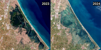 El antes y el después de la Albufera: el impacto de la DANA visto desde el espacio
