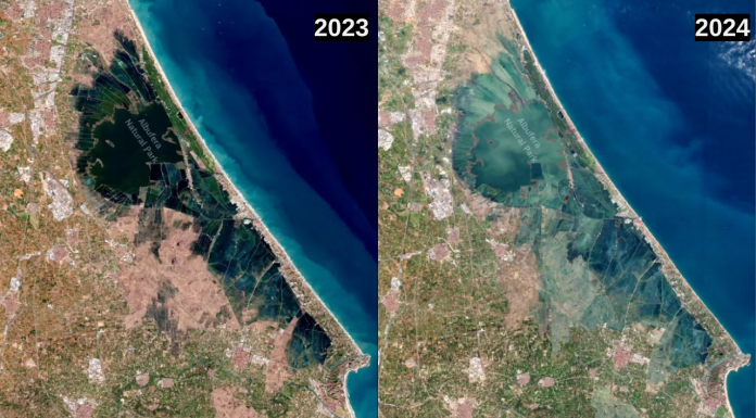 El antes y el después de la Albufera: el impacto de la DANA visto desde el espacio El antes y el después de la Albufera: el impacto de la DANA visto desde el espacio