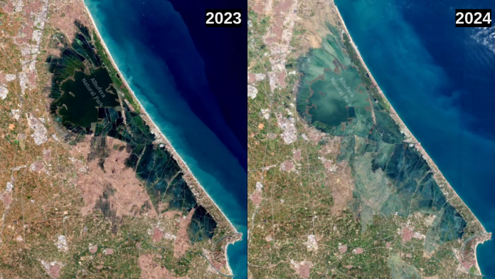 El antes y el después de la Albufera: el impacto de la DANA visto desde el espacio