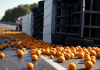 Vuelca un camión cargado de naranjas y corta el tráfico en la Pista de Silla