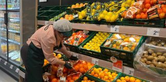 Consum venderá naranjas con IGP en toda la Comunitat Valenciana hasta el final de la campaña