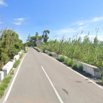 El expresidente de Feria Valencia y su mujer mueren atropellados en El Palmar Fallece un matrimonio tras ser arrollado al detenerse para tirar la basura en El Palmar