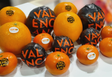 Las 10 nuevas variedades de mandarinas valencianas que llegan a los supermercados