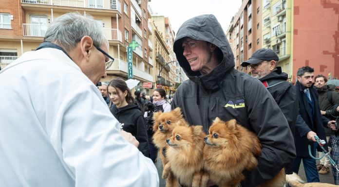 Sant Antoni Abat: días, horarios y eventos de la primera gran fiesta de Valencia en 2026