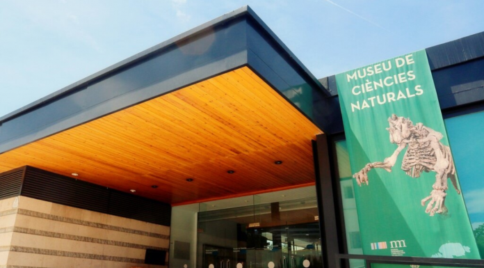 El Museo de Ciencias Naturales de Valencia cierra en Viveros El Museo de Ciencias Naturales de Valencia cierra en Viveros