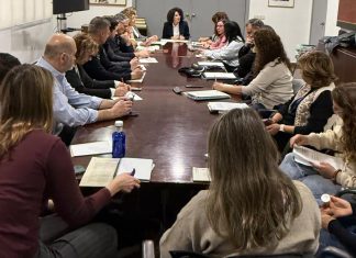 Mesa multidisciplinaria en materia de Violencia de Género