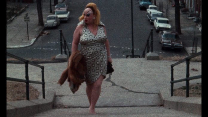 Rambleta sube su ‘Telón bizarro’ con los flamencos rosa