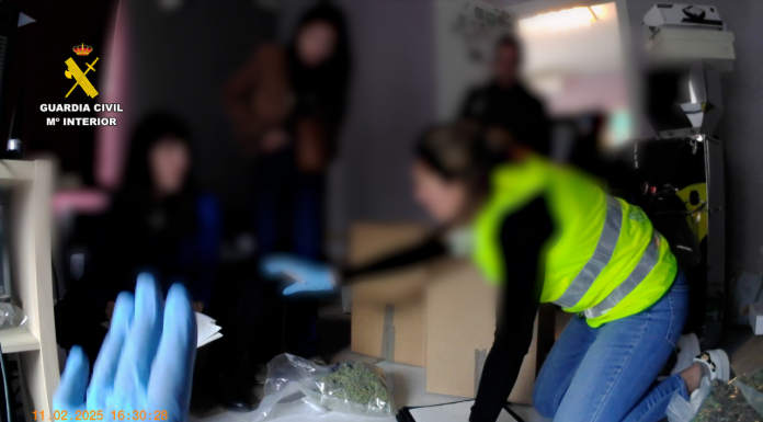 Las tiendas de cannabis de Valencia se convierten en el epicentro de un entramado de venta ilegal a nivel nacional