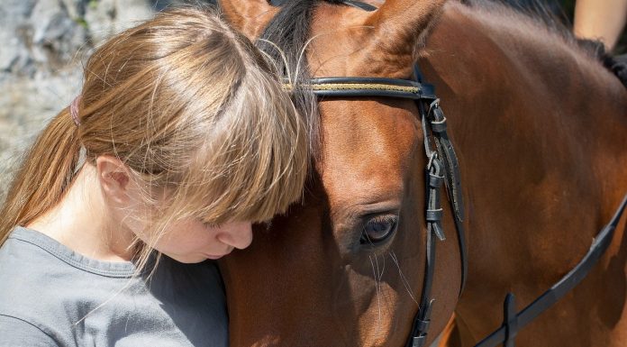 Tres colegios de Valencia incluyen terapias con caballos