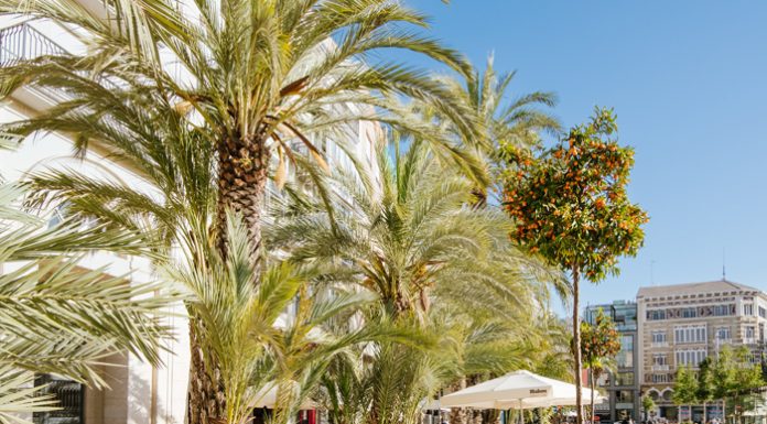 Valencia aumenta su población en casi 20.000 personas