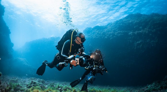 Descubren una nueva especie de molusco en el Mediterráneo Investigadores de la Fundación Oceanogràfic en el mar Mediterráneo