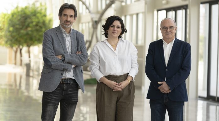 Sara Mansanet, nueva subdirectora de Cinematografia del Palau de la Música